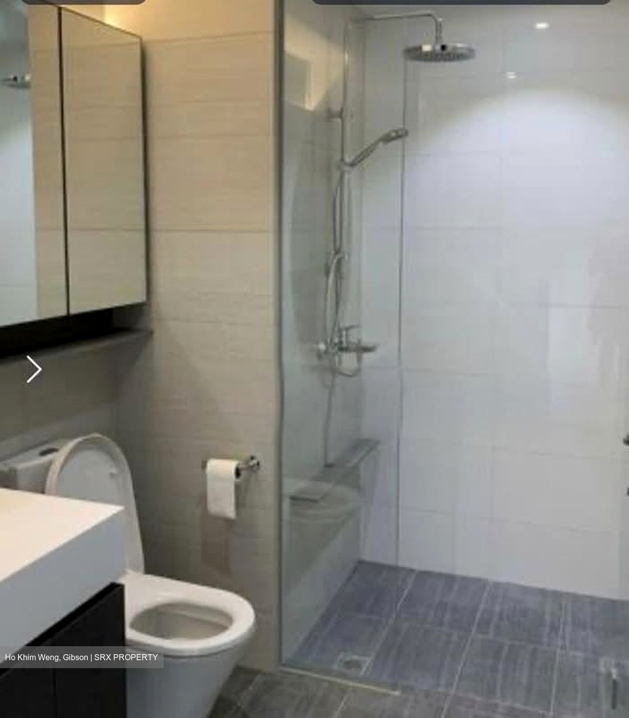Botanique At Bartley (D19), Condominium #588157701